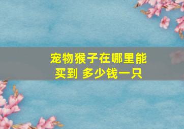 宠物猴子在哪里能买到 多少钱一只